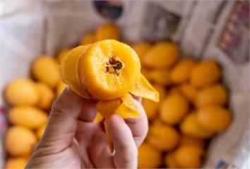 枇杷怎麼剝皮不黏手？農糧署教用「1個工具」輕鬆去...