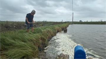 嘉義布袋沿海「沒水沒電」 虱目魚塭岌岌可危