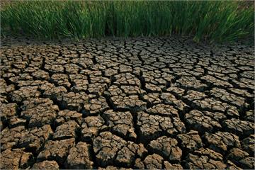 暖化加劇 聯合國警告：全球陷缺糧飢荒危機