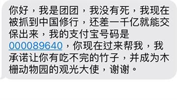 太扯！詐團稱「團團」被抓中國修行 網：貓熊寫簡訊...