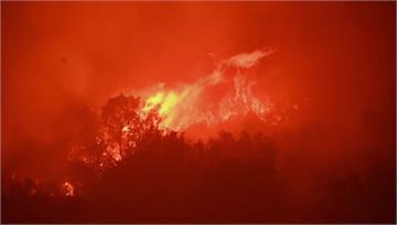 加州野火燒不停　消防隊用防火毯護千年杉木