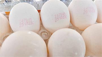 15萬顆毒雞蛋流向9縣市！食藥署公布9品項批號籲...