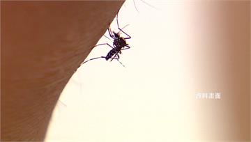 睡覺蚊子嗡嗡擾人 「開燈」有助干擾吸血