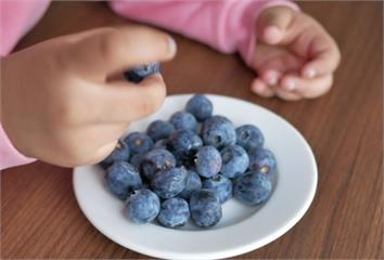 比新鮮的更營養！研究證實「冷凍藍莓」花青素、維生...