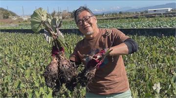 金鐘主持人王浩一心肌梗塞猝逝 享壽68歲