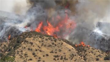 燒了4天火勢蔓延 美加州林火急撤8千人