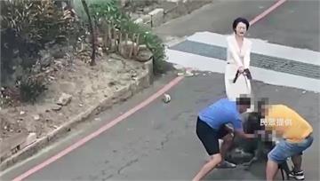 無晶片比特犬狠咬阿拉斯加犬！三人拉扯搶救畫面曝 