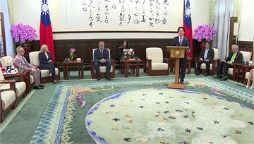 接見歐洲議會訪團　賴清德：盼共同打造民主供應鏈