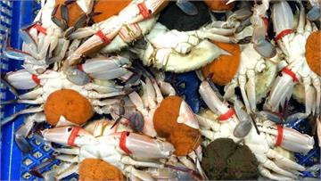 農委會新規定！ 販賣、捕撈抱卵母蟹可罰至15萬元