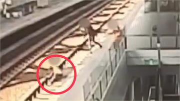 推落台鐵站務員墜落鐵軌！陳男出庭辯稱「輕輕碰到」