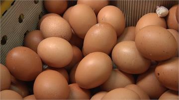 天冷蛋雞產蛋率高 紅蛋過剩、白蛋價格下跌