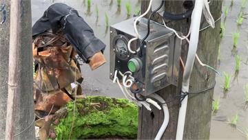 大雨造成農田積水！彰化青農開抽水機不慎觸電身亡