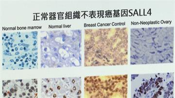血癌前期治療藥物激活癌細胞 北榮研究找到關鍵