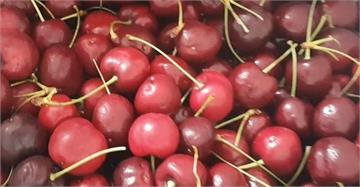 進口2批美鮮櫻桃「再驗殘留農藥超標」 美在台協會...