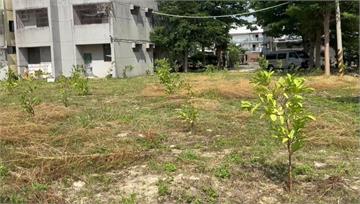 獲利了結？ 柯文哲「新竹芭樂園」傳已售出