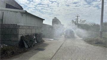 苗栗後龍畜牧場4豬暴斃 送驗檢測「非洲豬瘟、典型...