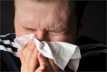 噴嚏、鼻水不停以為感冒？醫揭可能是過敏性鼻炎 感...