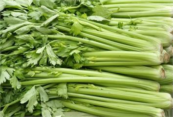 芹菜怎麼挑最新鮮？農糧署教看「這2處」就知道  ...