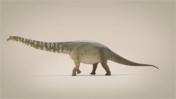 澳洲驚現「泰坦巨龍」化石 白堊紀產物創史上體型前...
