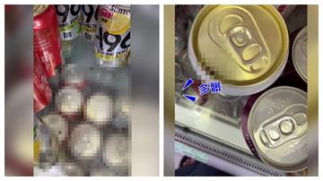 噁！超商蟲蟲危機　網友：衛生差成這樣「乾脆關店」