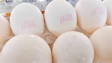 不只台中有毒雞蛋！ 「這縣市」流入1萬顆、460...