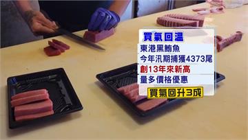 迎微解封 東港華僑市場黑鮪魚買氣回溫3成