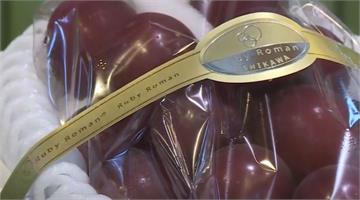 日本年度最貴葡萄 一串要價台幣35.6萬