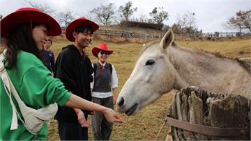 2歲童被馬咬傷！清境農場逆轉敗判賠71萬元 高院...