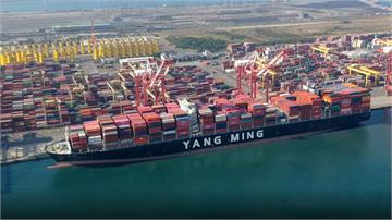 荷姆茲海峽封鎖「傳日租金損失百萬」 陽明海運：和...