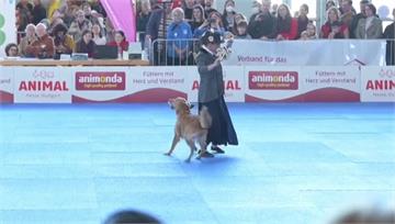 人狗美妙共舞 德國舉辦「歐洲狗舞錦標賽」