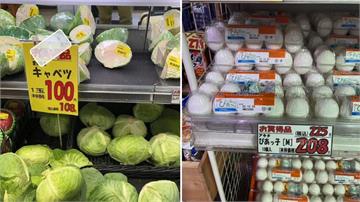台灣物價比日本高？ 高麗菜、雞蛋、牛奶遭點名