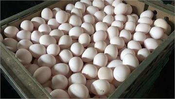 日缺40萬顆！蛋價喊漲　傳下週一每斤漲2元