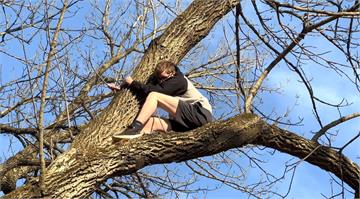 卡「樹」！美國少年「救貓」爬10公尺樹 下不來
