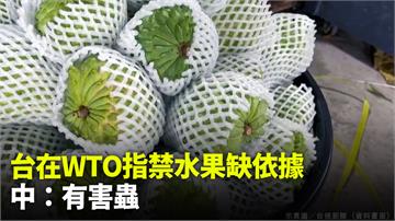 台在WTO指禁水果缺依據 中：有害蟲