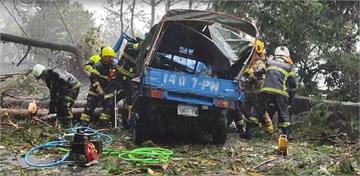 康芮來襲！南投合歡山公路樹木倒塌 壓車釀一死一傷