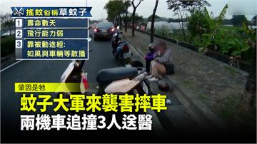 離奇車禍！蚊子多到像冒煙 騎士看不到路撞車