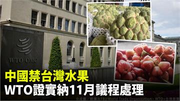 中國禁台灣水果 世貿證實納入11月議程處理