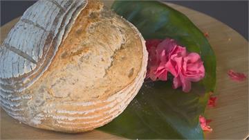 天然酵母麵包 把泰雅文化揉進麵團  
