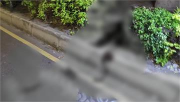 網路嗆聲惹火！ 板橋少年遭埋伏狂砍倒臥路邊