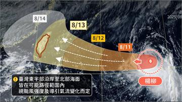會放颱風假嗎？ 專家稱「楊柳一生皺褶」：別過度期...