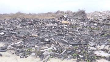 數百噸廢棄物堆海邊 王功蚵仔陷食安危機