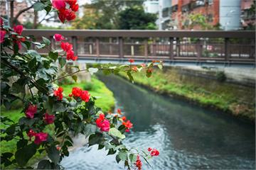溪邊不再掩鼻　新北六水治理讓河川活起來