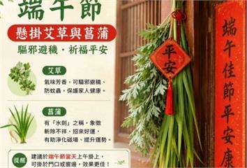 不只避邪！艾草與菖蒲的真正功效：驅蟲、防疫與身心...