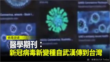 新冠病毒新變種 權威期刊：武漢傳至台灣