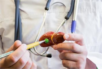 高油高糖加酒精恐引發急性胰臟炎！專家提醒：「這部...