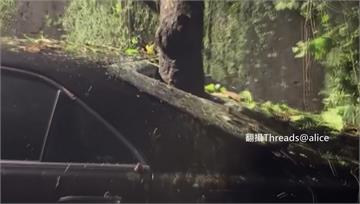 驚險！巴威豪雨土石鬆動 樹倒「直插汽車後座」玻璃...