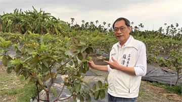 安泰醫院大火奪9命逆轉 屏檢重啟偵辦起訴蘇清泉等...