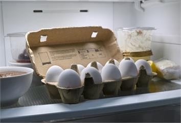 別怕吃蛋！選擇安全來源可降失智風險47% 研究揭...