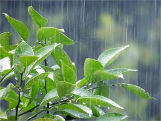 雲林以南6縣市大雨特報 周末天氣趨穩定