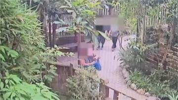 北市男闖動物園利用「汗水」捕蝶 專家：對部分蝴蝶...